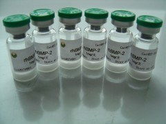 上海博華生物科技 創(chuàng)新驅(qū)動(dòng)，引領(lǐng)生物科技未來